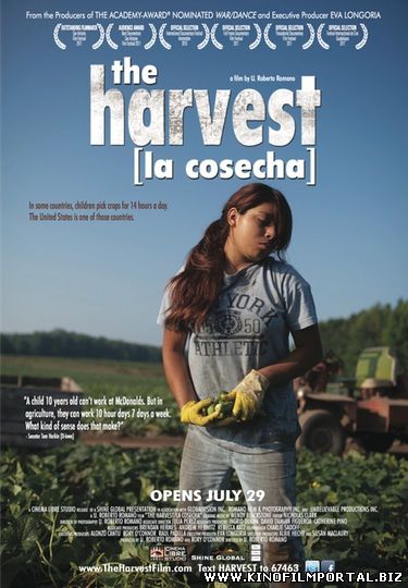 Урожай / The Harvest (2013) смотреть онлайн смотреть онлайн